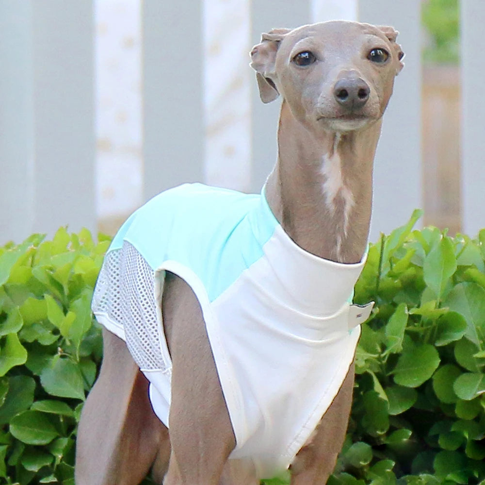 Svalkande väst för hund