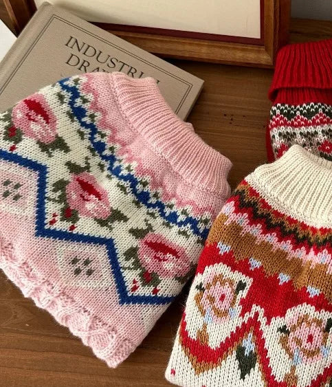 Stickad tröja för liten hund