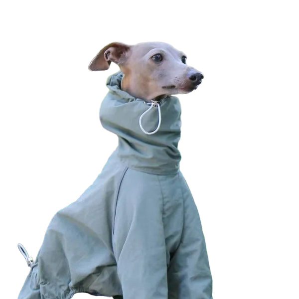 Vattentät overall för hund