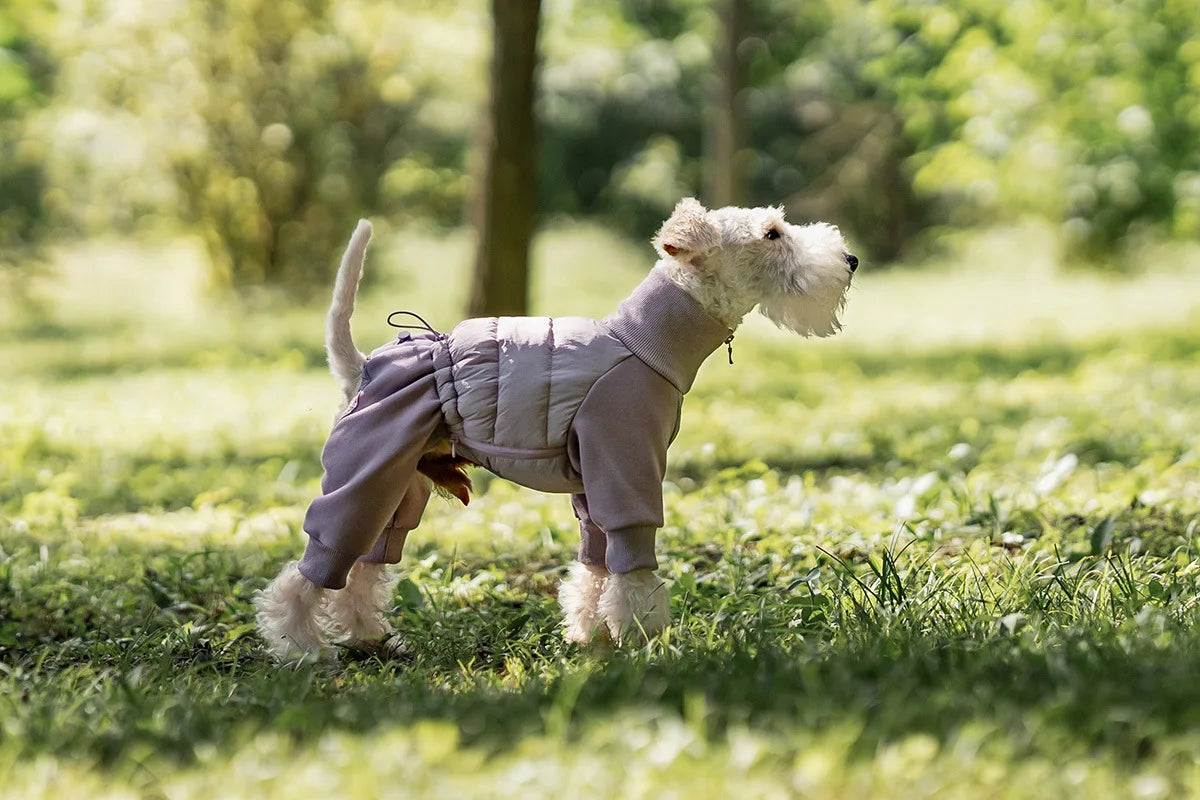 Tracksuit onesie för hund