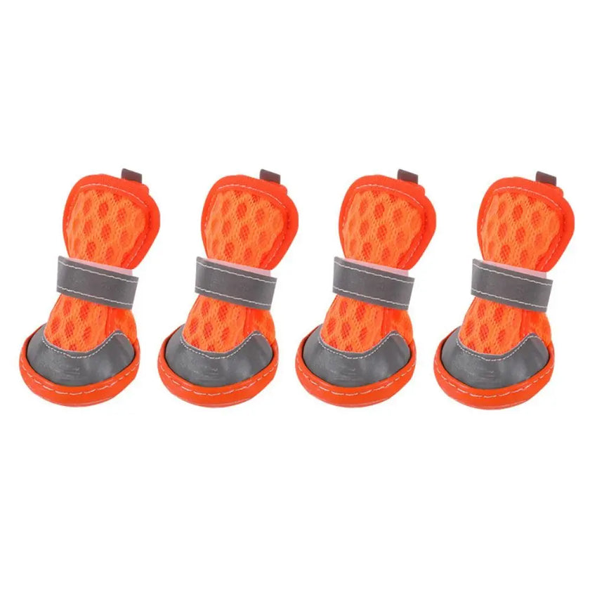 Sommarskor för hund