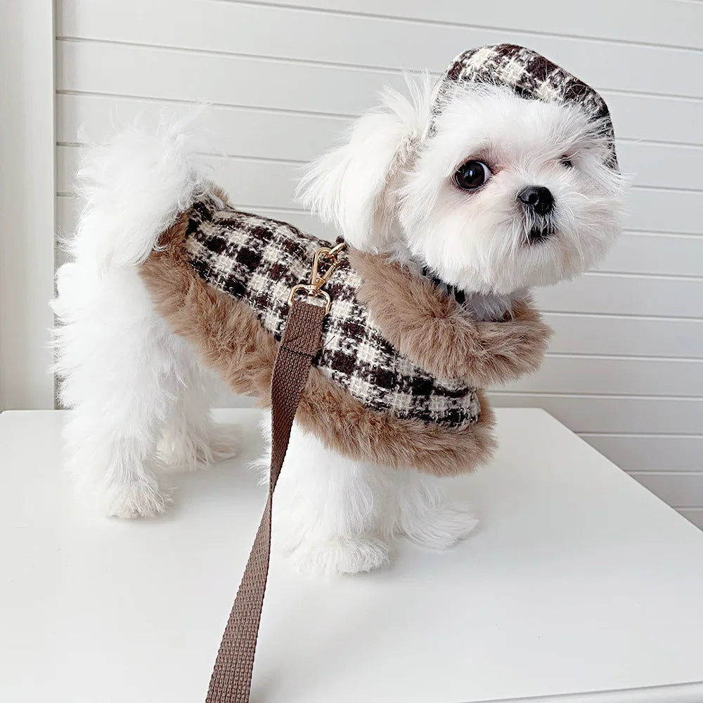 Cape för liten hund