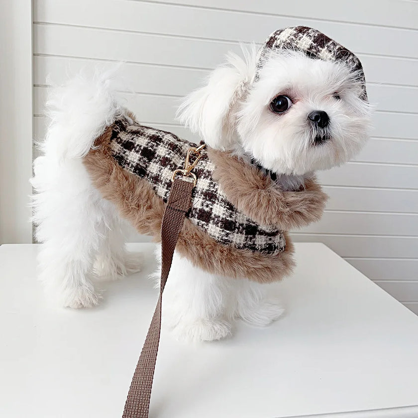 Cape för liten hund
