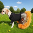 Halloween klänning för hund