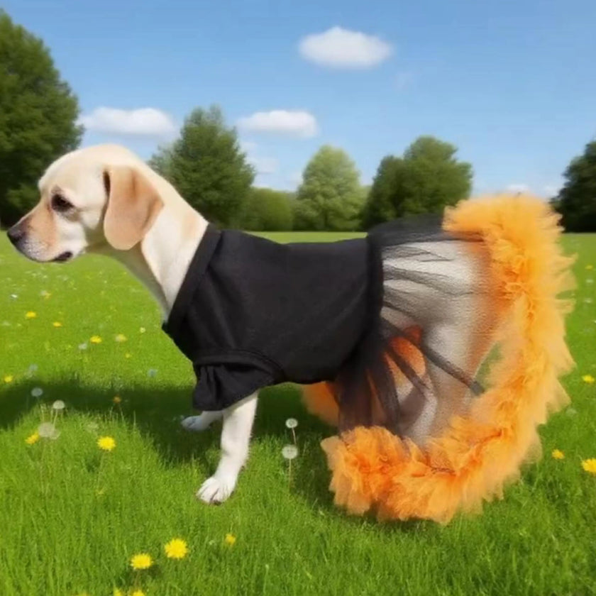 Halloween klänning för hund