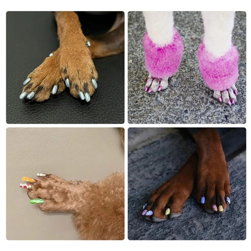 Nagellack för hund 12 färger