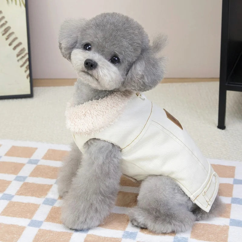 Pälsfodrad jeansjacka för hund