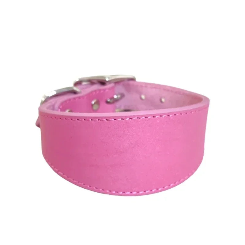 Brett hundhalsband