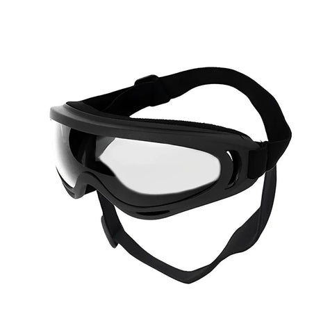 Goggles för hund