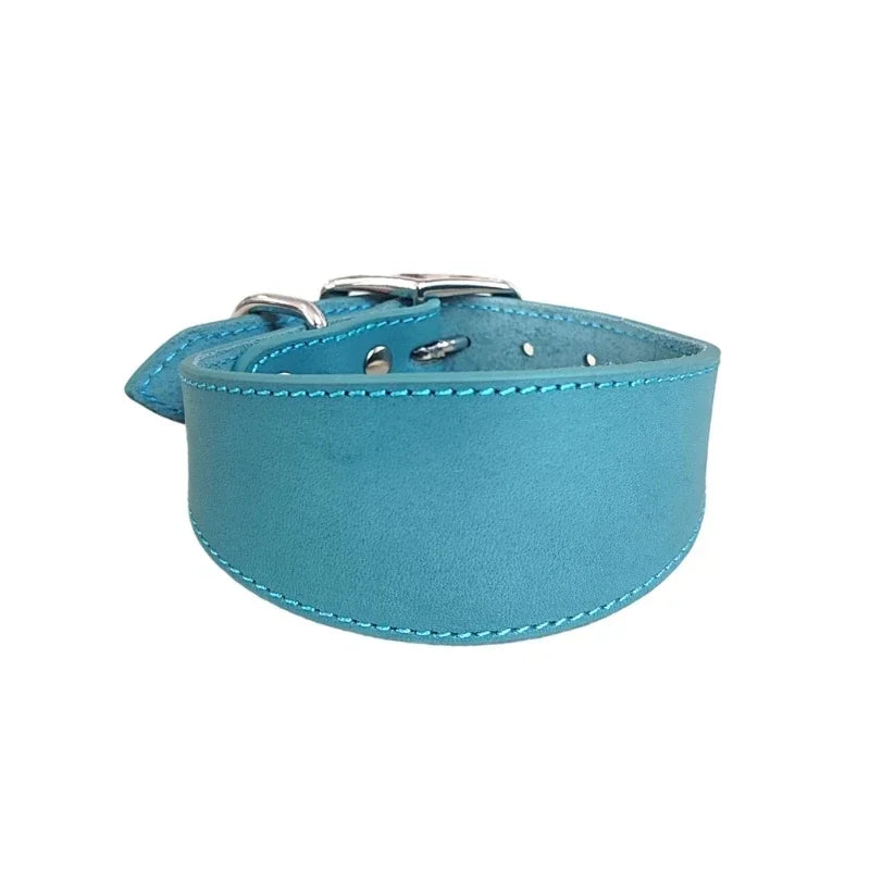 Brett hundhalsband