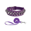 Halsband med spikes