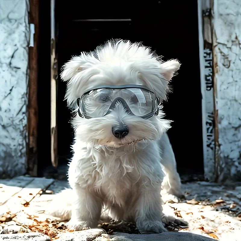 Goggles för liten hund