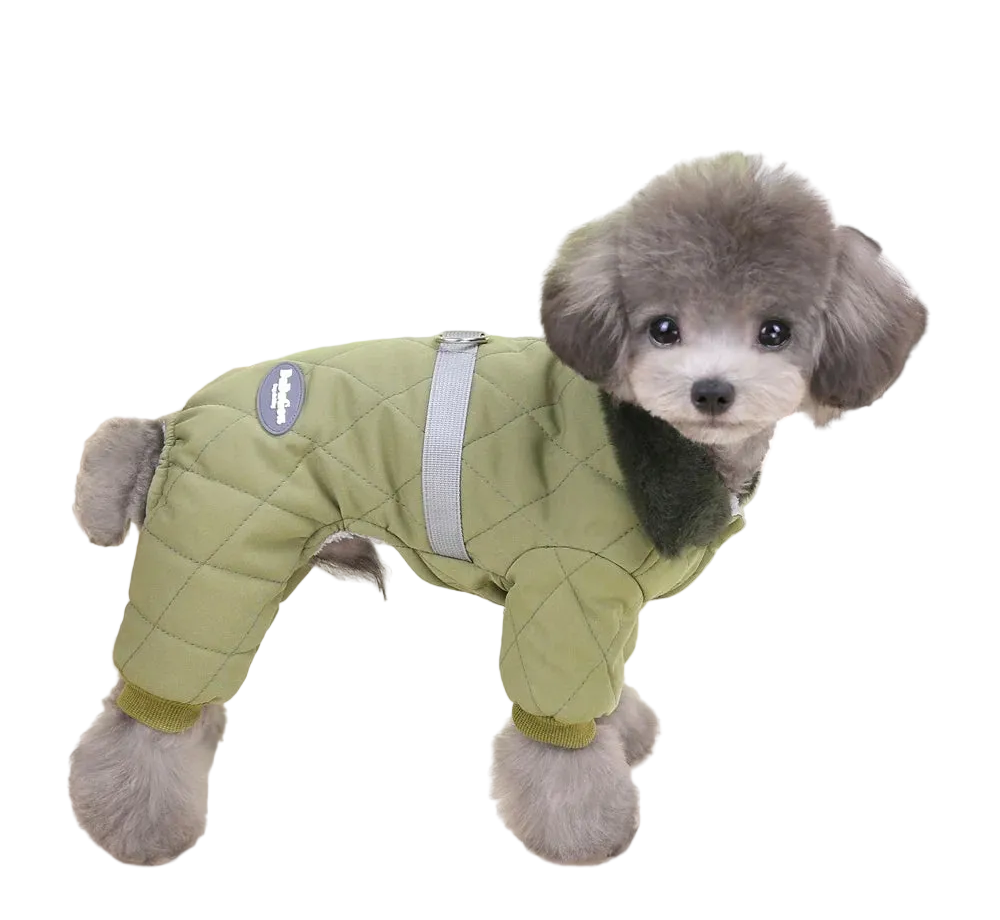 Varmfodrad overall för liten hund