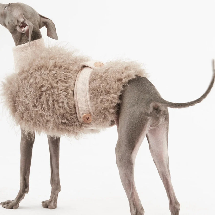 Pälströja för hund