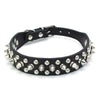 Halsband med spikes