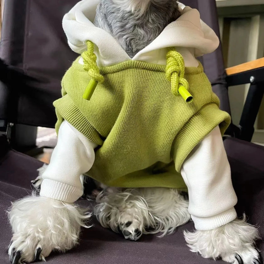 Sweatshirt med luva för hund