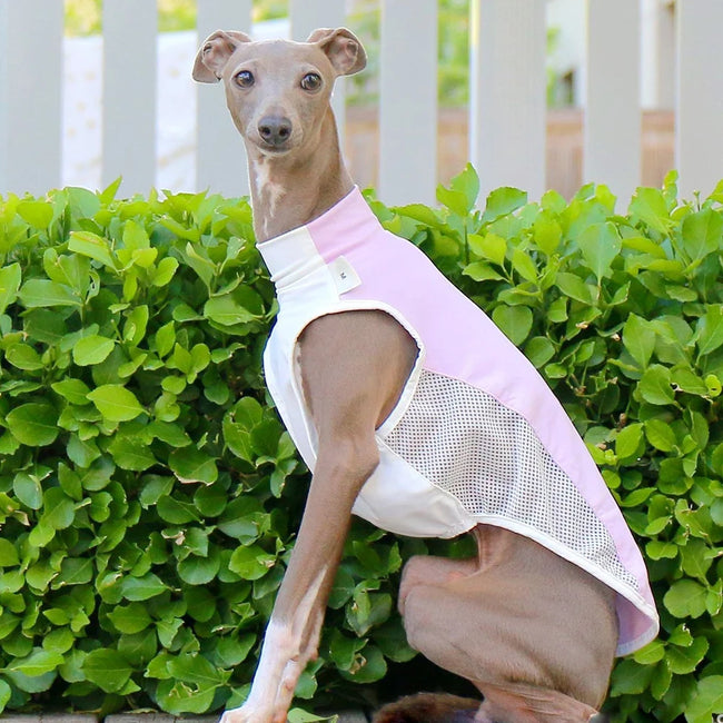 Svalkande väst för hund