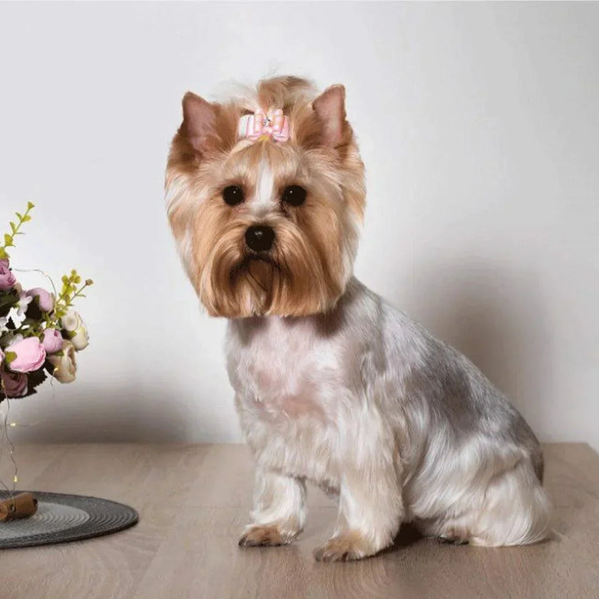 Rosetter på gummiband 10st