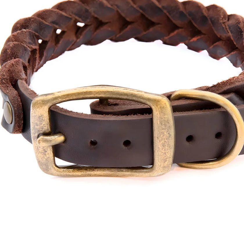 Flätat hundhalsband
