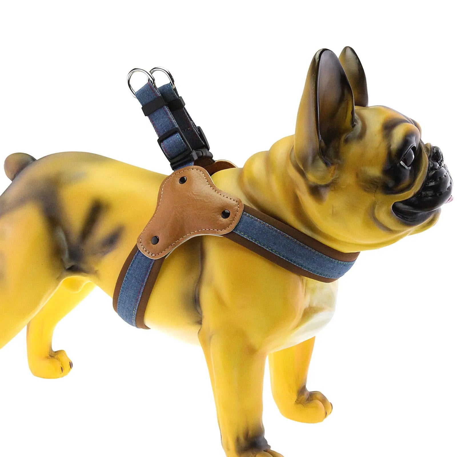 Hundsele i jeanstyg & koppel