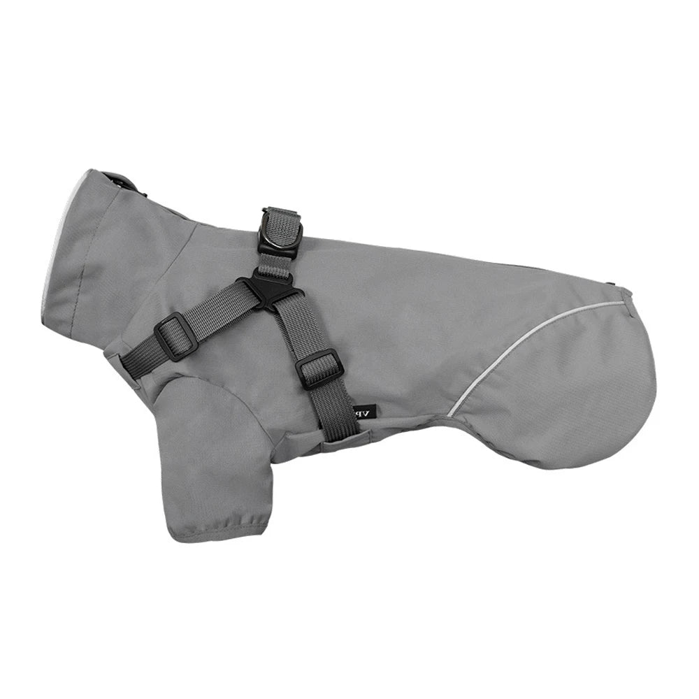 Regnjacka med sele för liten hund