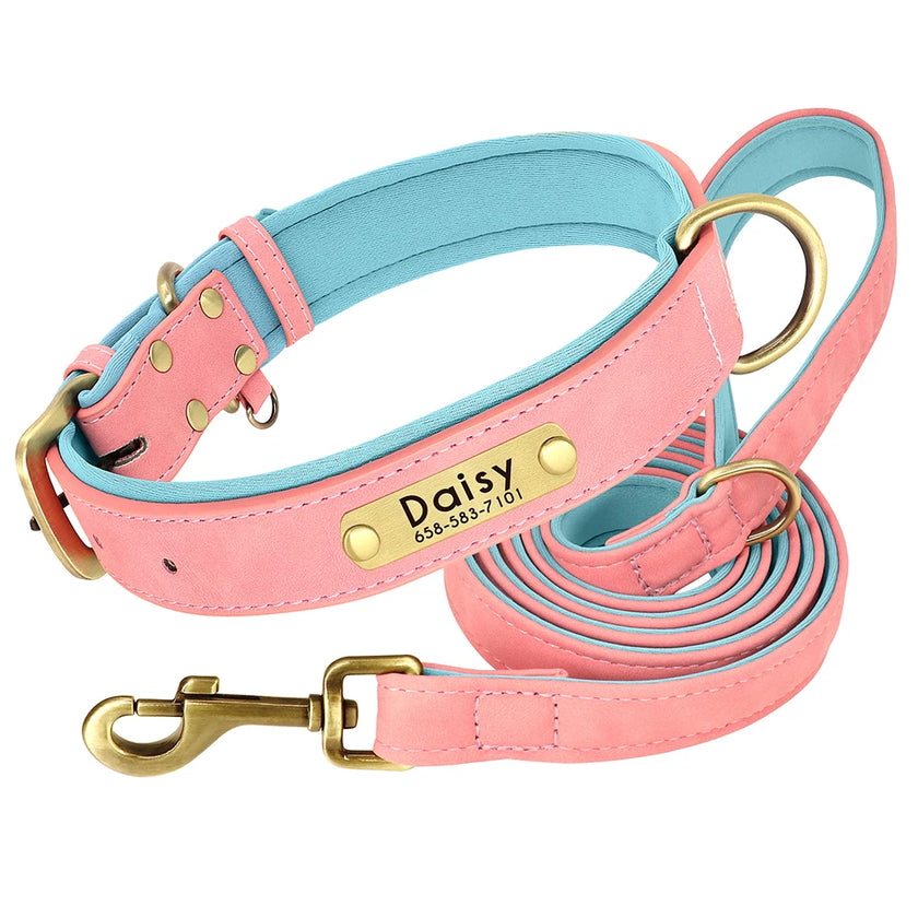 Hundhalsband & koppel
