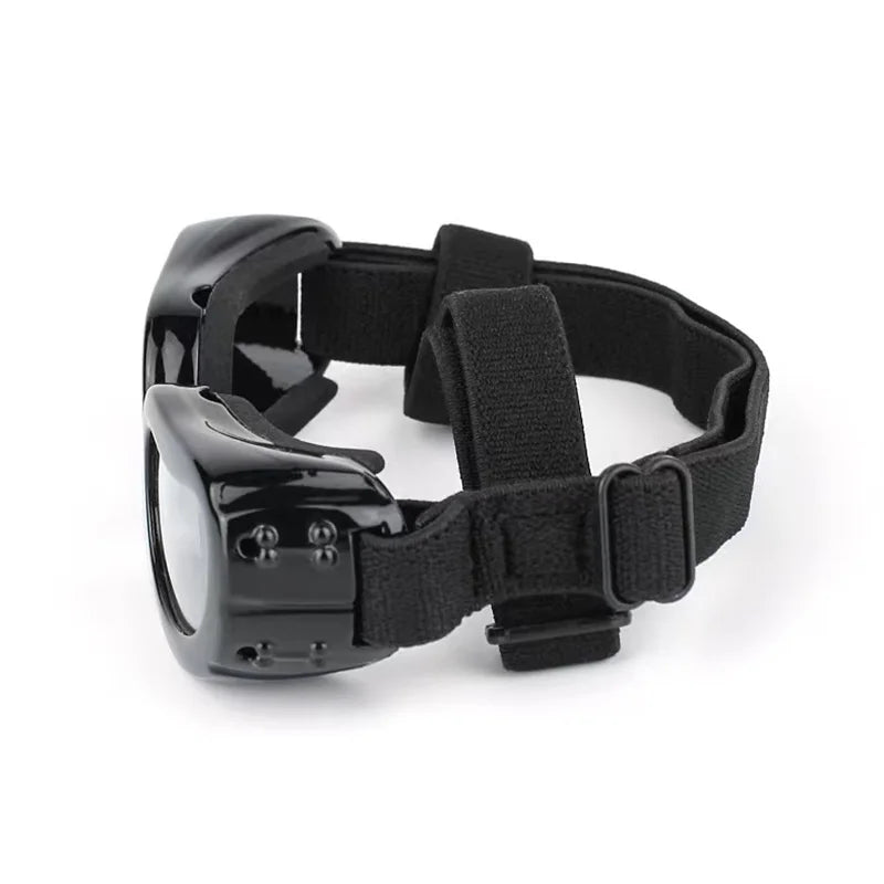 Goggles för hund