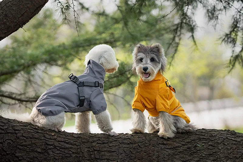 Regnjacka med sele för liten hund