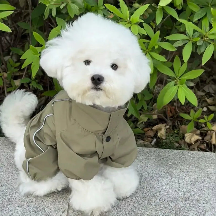 Vattentät overall för liten hund