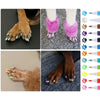 Nagellack för hund 12 färger