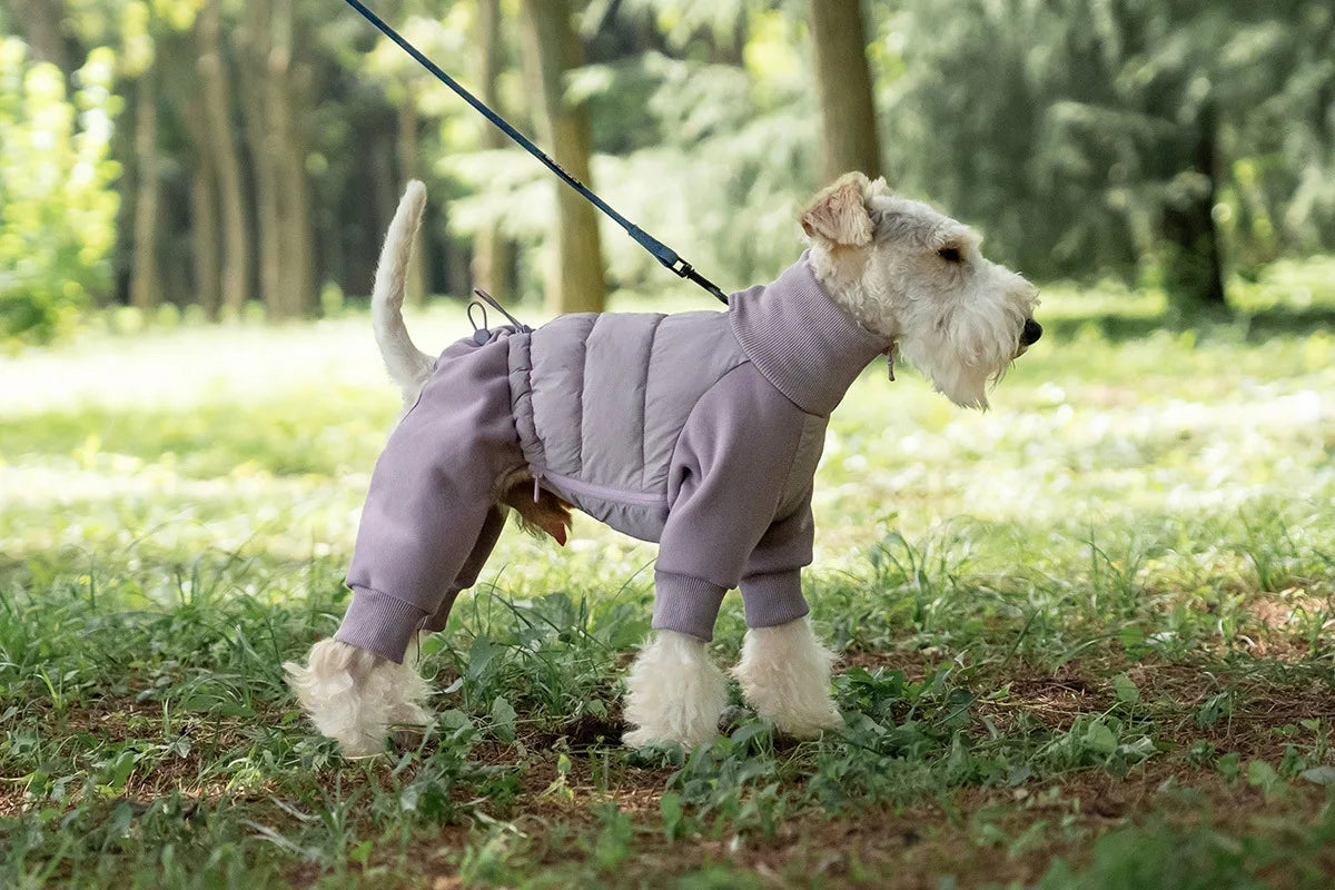 Tracksuit onesie för hund