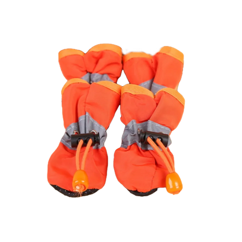 Vinterskor för hund