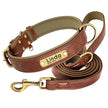 Hundhalsband & koppel