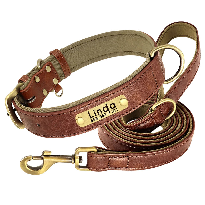 Hundhalsband & koppel
