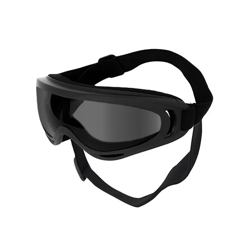 Goggles för hund