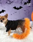 Halloween klänning för hund