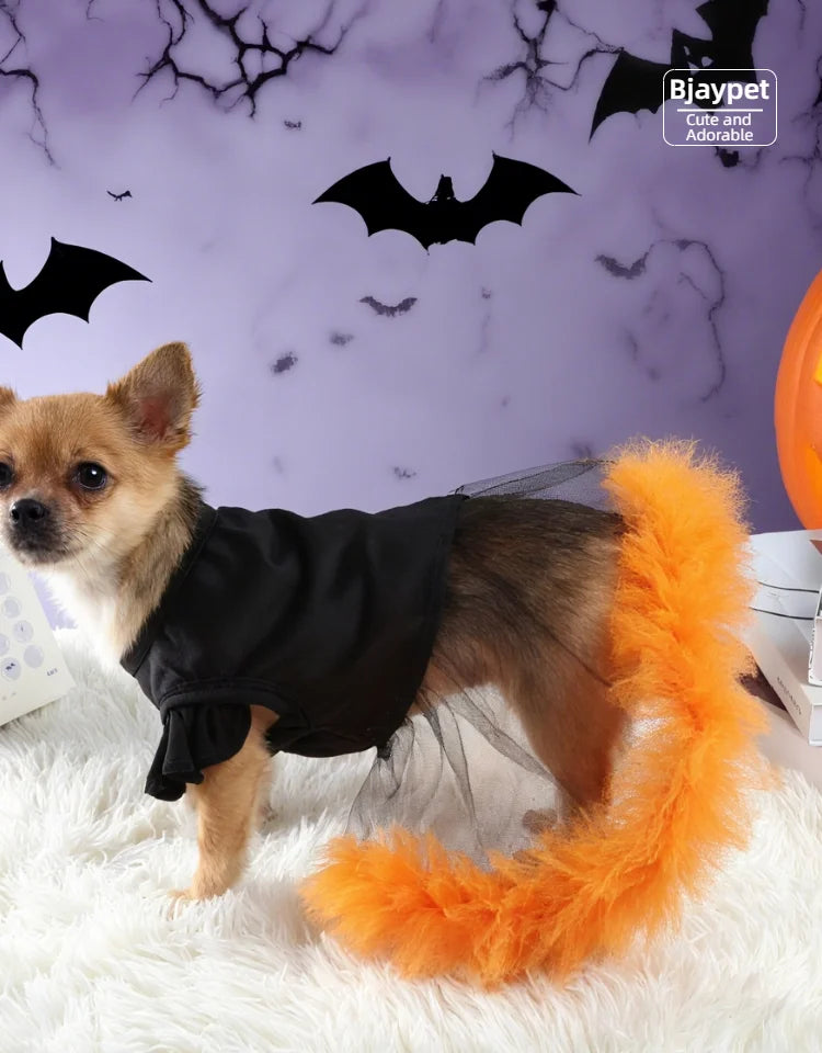 Halloween klänning för hund