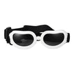 Goggles för hund