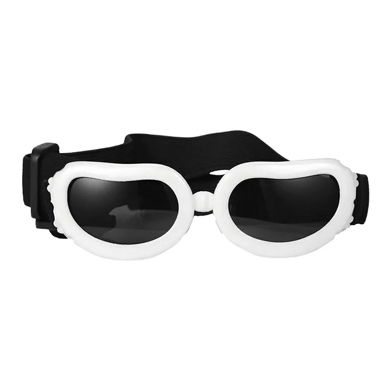 Goggles för hund