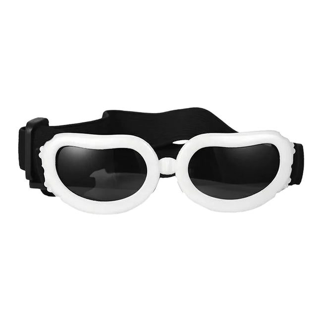 Goggles för hund