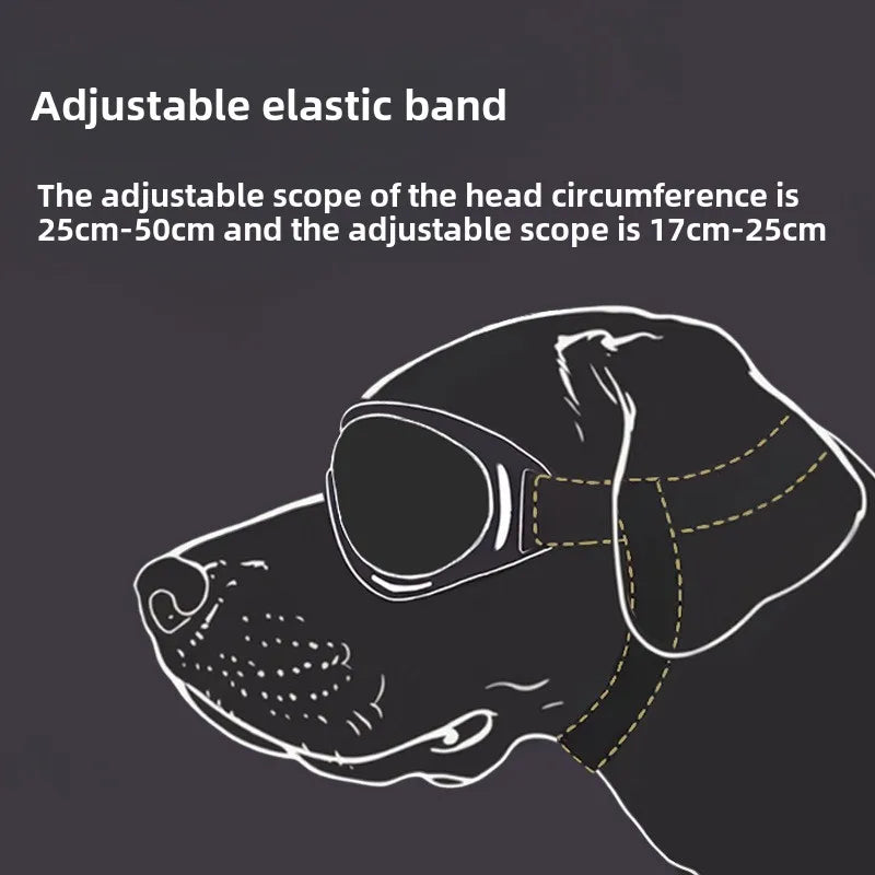 Goggles för hund