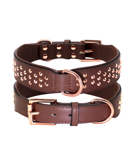 collection_accessories