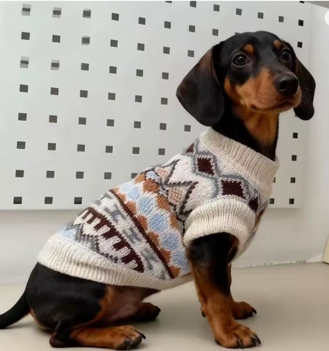 sausagedog_sweater
