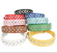 Hundhalsband med strass
