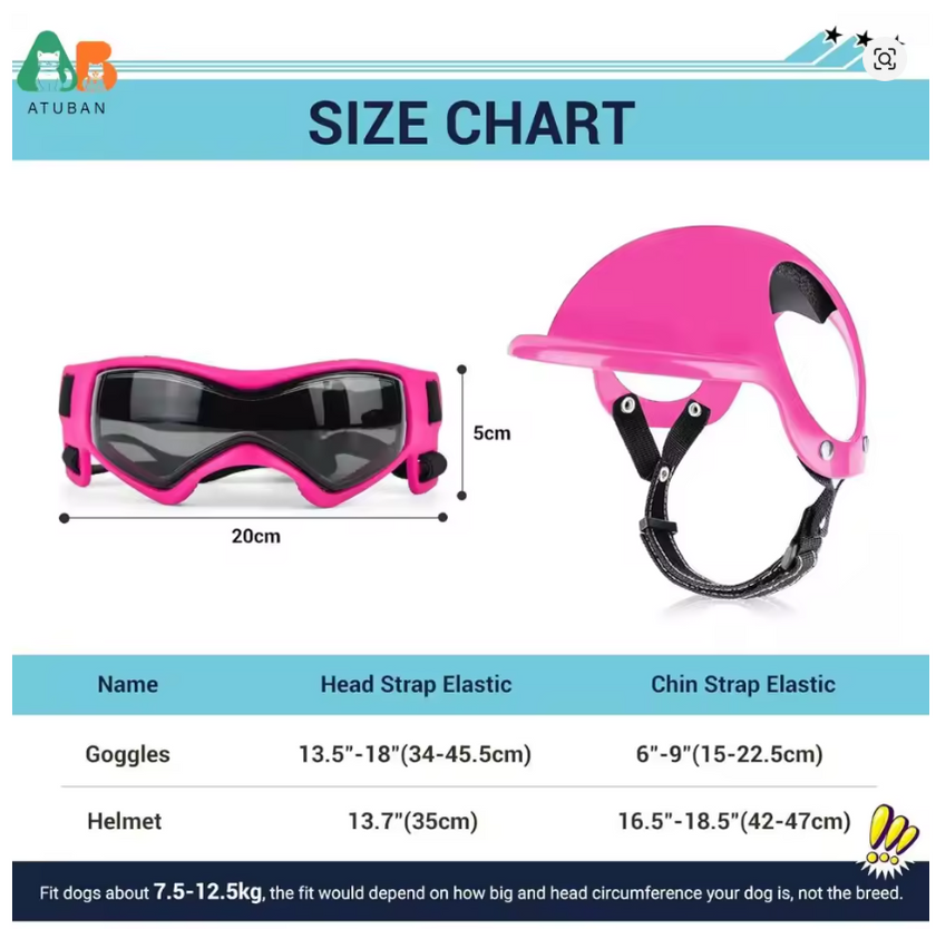 Set med hjälm och goggles för hund