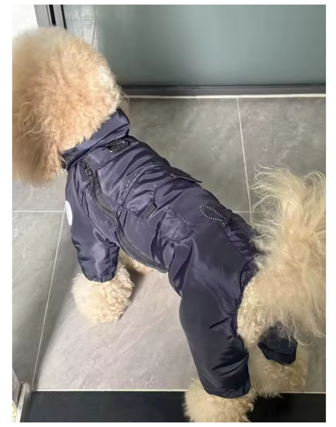 Vinteroverall för hund